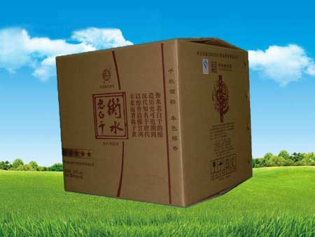 ZXG01E型雙經(jīng)緯儀基線測風(fēng)系統(tǒng)-測風(fēng)經(jīng)緯儀